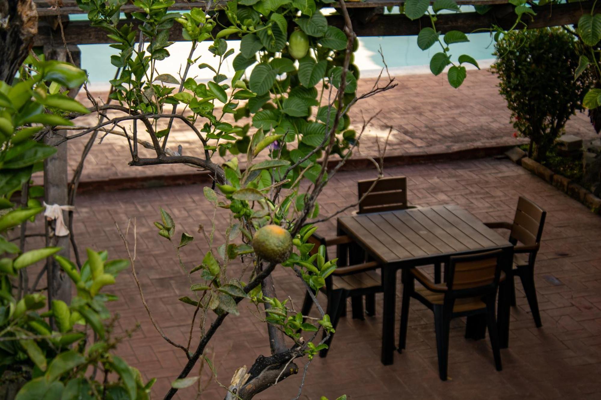 Volcano Hostal Y Restaurante Сан-Сальвадор Экстерьер фото